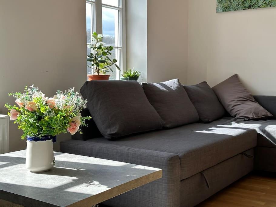 Apartment Am Schloss 2 - Bestes In